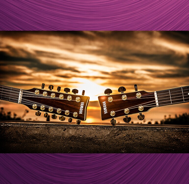 Acoustic Guitars - Products - Guitars, Basses & Amps - Musical