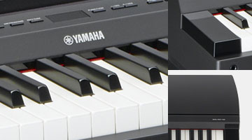 P-255 - Overview - P Series - Products - Pianos - Musical