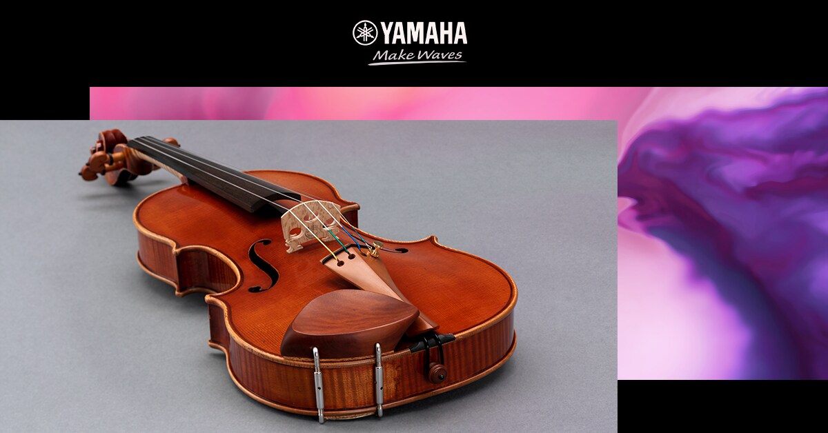 Acoustic Strings - Products - String Instruments - Musical