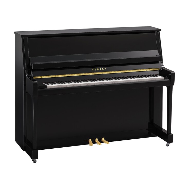 Product image of B20 (Polished Ebony)