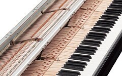 N1 - Overview - AvantGrand - Products - Pianos - Musical