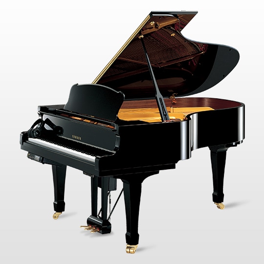 08 STEEZ(スティーズ) VERNIER(バーニア) 651MFS-XTQ E3 SERIES - Overview - Disklavier™ - Products - Pianos