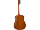 FG-TA Brown Sunburst Straight Front