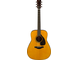 FG5 with gloss finish straight front