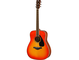 FG820 Autumn Burst Right Front