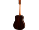 FG830 Autumn Burst Right Back