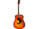 FG830 Autumn Burst Right Front