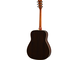 FG830 Tobacco Brown Sunburs Right Back