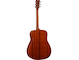 FGX5 with gloss finish left back