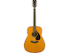 FGX5 with gloss finish straight front