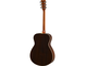 FS830 Tobacco Brown Sunburst Right Back