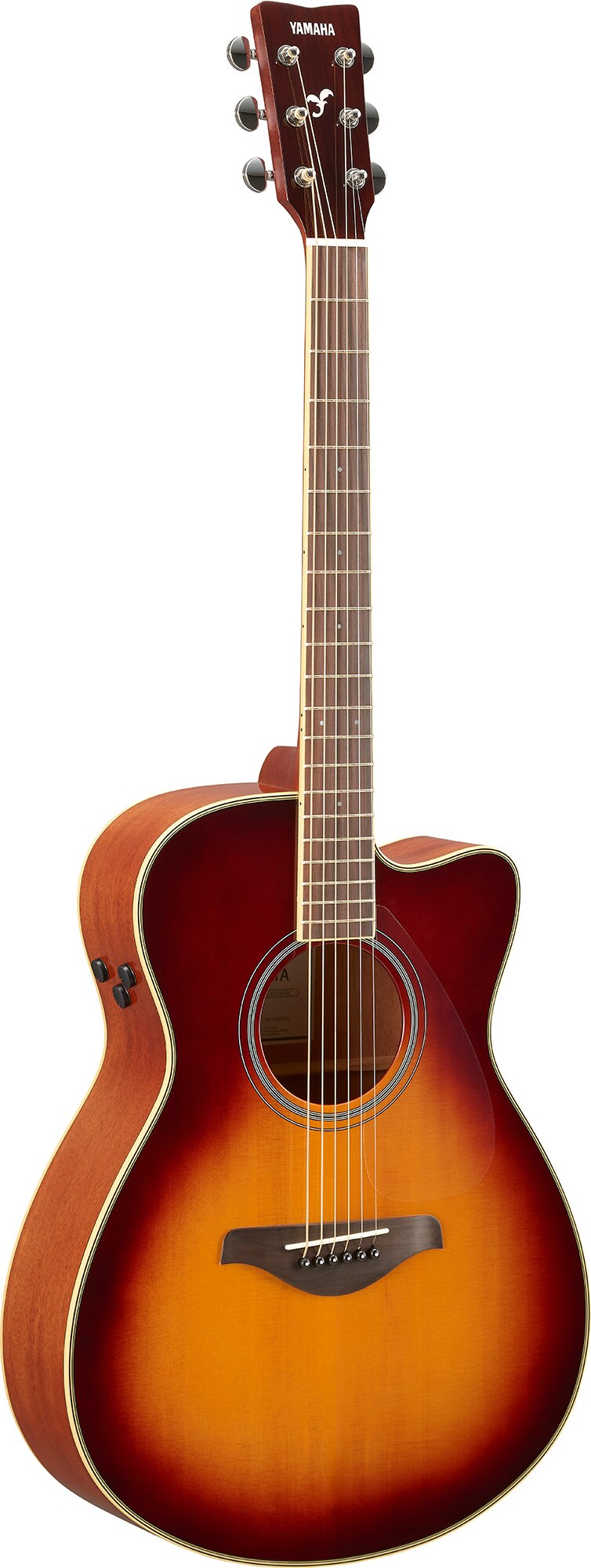 TransAcoustic Guitars (1st Gen) - Overview - Acoustic