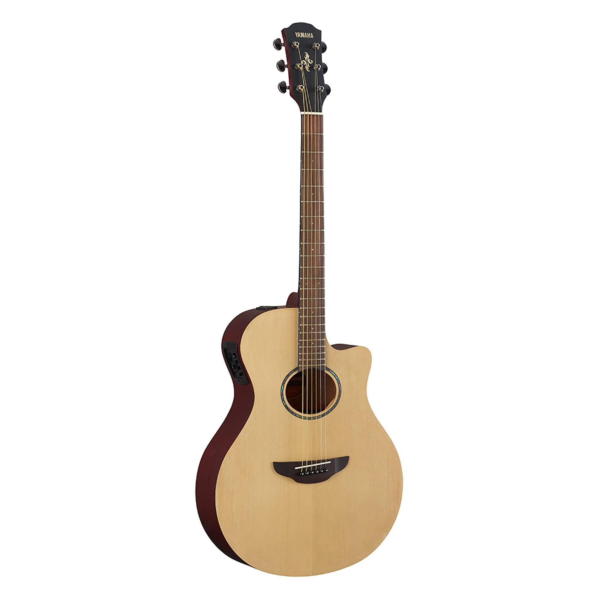 APX - Overview - Acoustic Guitars - Products - Guitars
