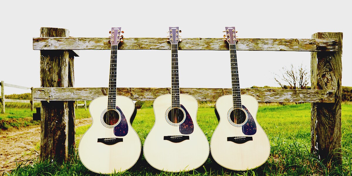 L Series - Overview - Acoustic Guitars - Products - Guitars