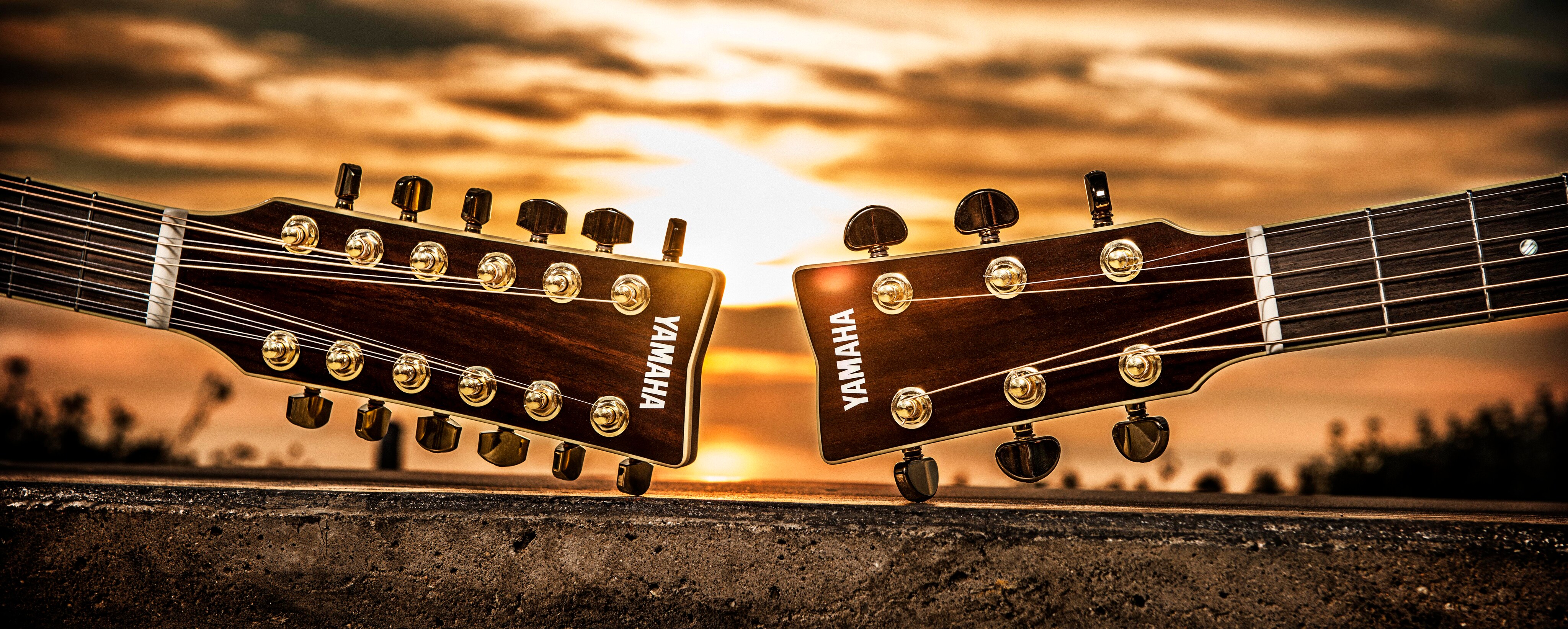 L Series - Overview - Acoustic Guitars - Products - Guitars