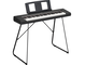Diagonal side view of the NP-15B (black model) with the optional stand