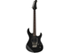 PAC611V BTR LTD Straight Front