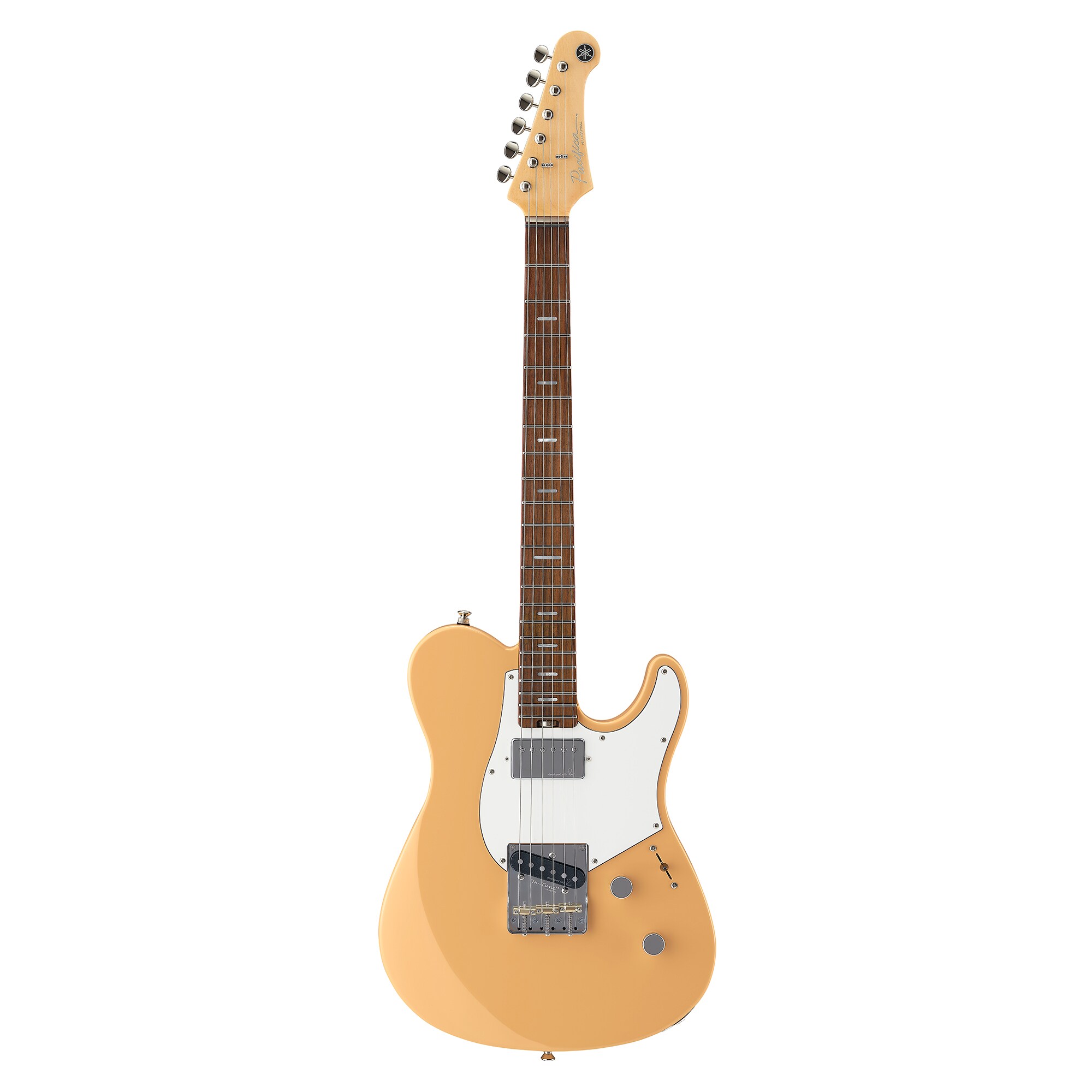 Electric Guitars - Products - Guitars, Basses & Amps - Musical