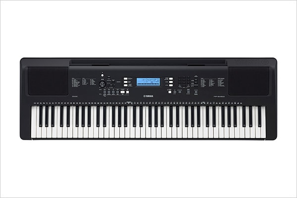PSR-EW310