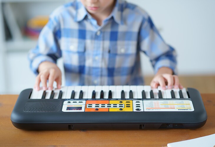 PSS-F30 | Yamaha Corporation.