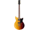 RSP20 Sunset Burst Straight Front