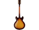 SA2200 Brown Sunburst Straight Back