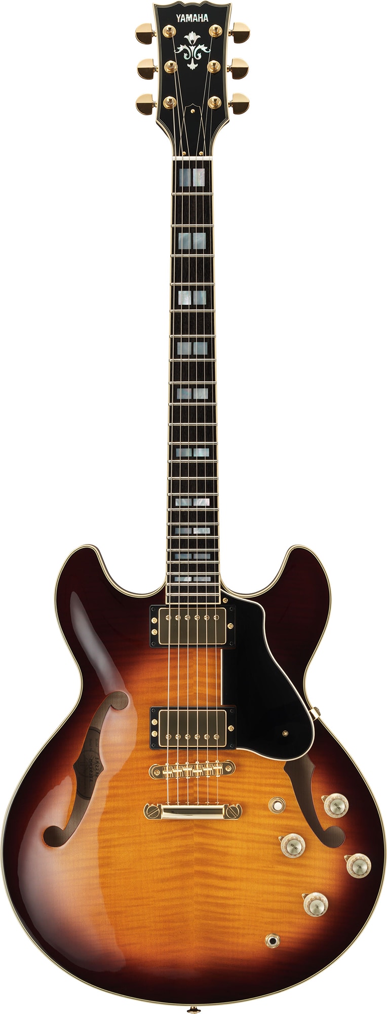Hollow Body - Overview - Electric Guitars - Products