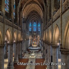 Inside of Mariendom in Linz