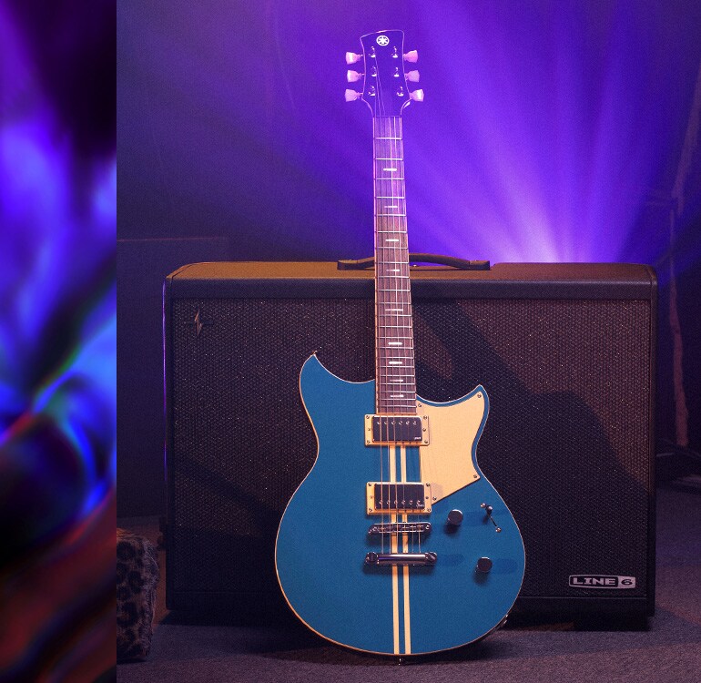 Electric Guitars - Products - Guitars, Basses & Amps