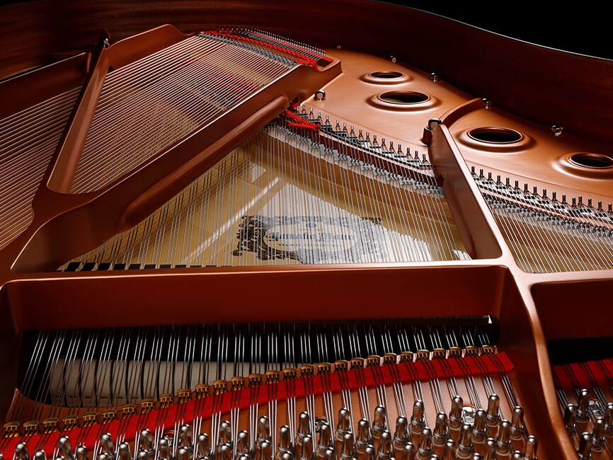 P-121 - Overview - P Series - Products - Pianos - Musical