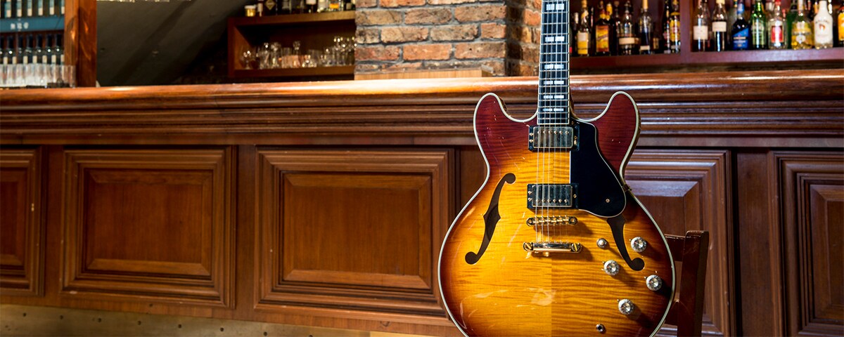 Hollow Body - Overview - Electric Guitars - Products - Guitars