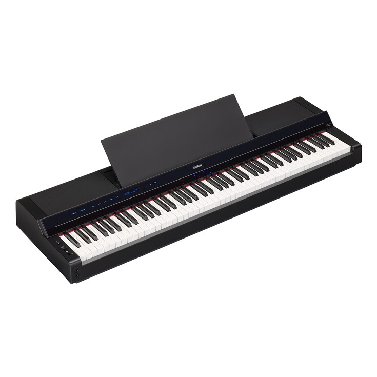 Diagonal side view of the P-S500B (black model)