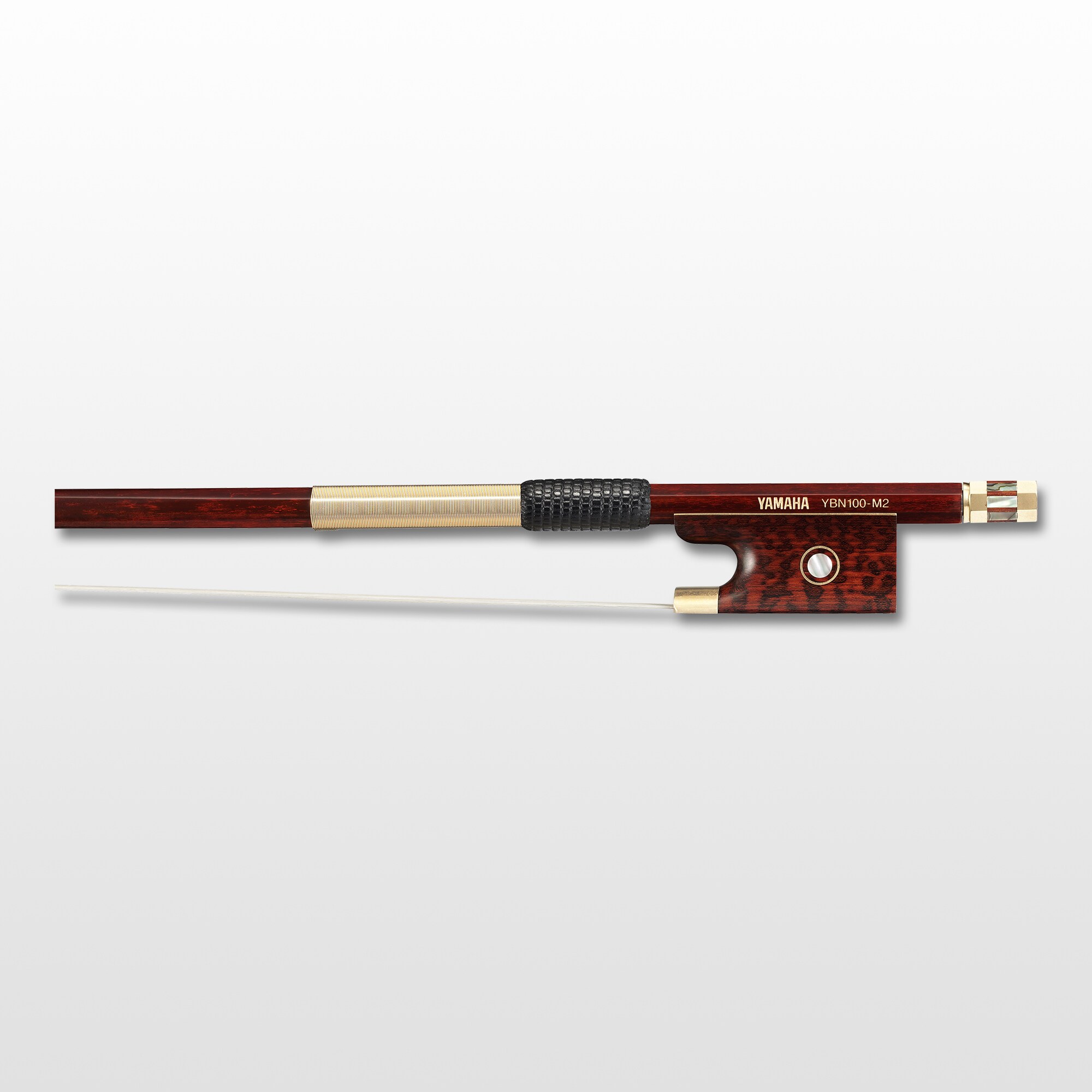 ybn100_2000x2000_tcm116-