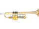 Bell: Gold brass, Finish: Clear lacquer